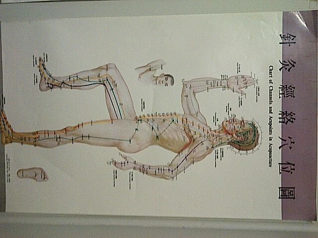 Massage Cape Town