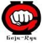 Midrand Martial Arts Academy