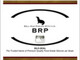 BELL RAE PHELPS (PTY) LIMITED t/a BRP
