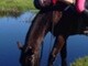 Sleepy Hollow Horse Riding 1
