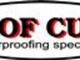 Roof Cure Waterproofing Specialists