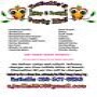 Natalie's Bump & Bounce Party Hire