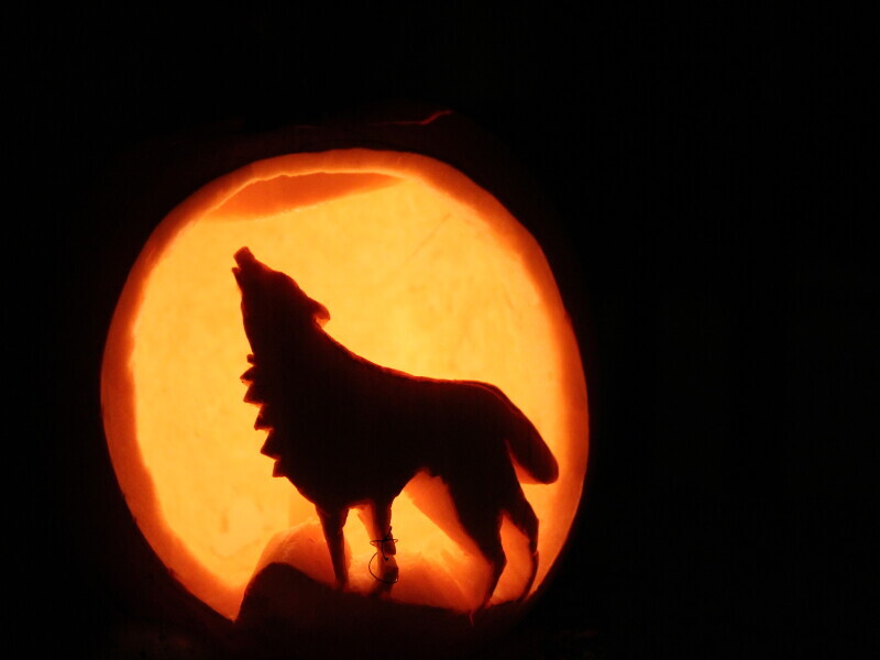 Crywolf