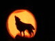 Crywolf