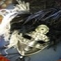 La Carla Mask Atelier