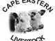 Livestock SA