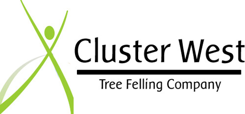 Cluster-West