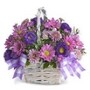 Flower Basket & Gifts