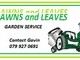 Lawns and leaves