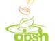 GBSH Consult