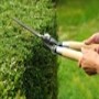 Garden Services Pretoria