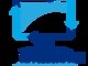 IT Integration Specialists