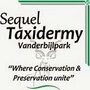 Sequel Taxidermy