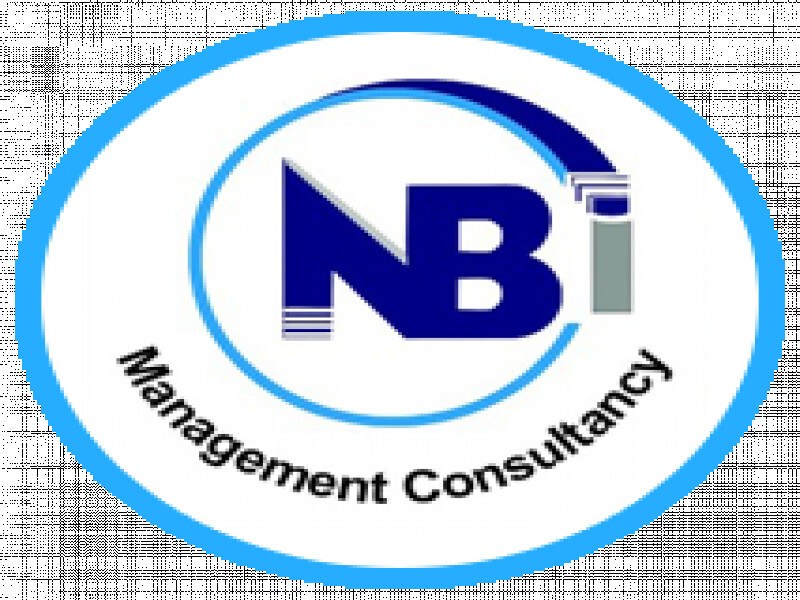 New Business Initiative Management Consultancy