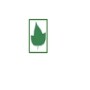 IVY Garden Services
