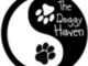 The Doggy Haven Pet Salon