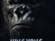 King Kong paving