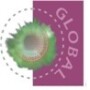 Global Maestro Communications (Pty) Ltd
