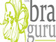 The Bra Guru