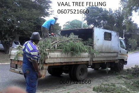 VANDERBIJLPARK TREE FELLERS