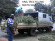 VANDERBIJLPARK TREE FELLERS