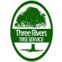 Meyerton Tree Fellers