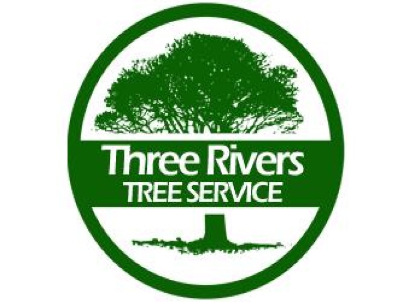 Meyerton Tree Fellers