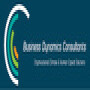 Business Dynamics Consultants