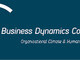 Business Dynamics Consultants
