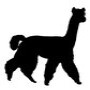 The Alpaca Loom Coffee Shop and Weaving Studio