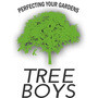 Treeboys - Tree Felling Port Elizabeth
