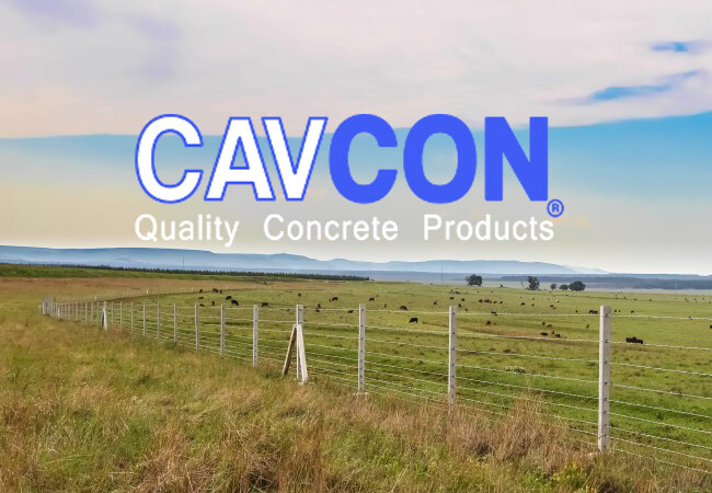 Cavcon