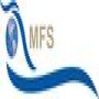 MFS Business Solutions