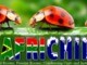 Africhill