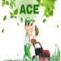 ACE Garden Service