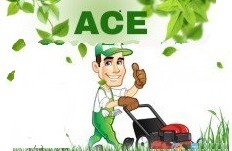 ACE Garden Service