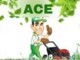 ACE Garden Service