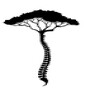 Dr Jacques H Maree Chiropractor