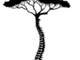 Dr Jacques H Maree Chiropractor