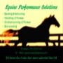 Equine Preformance Solutions