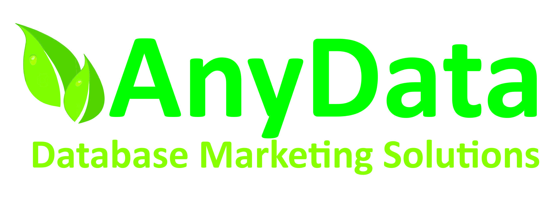 Any Data (Pty) Ltd