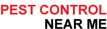 Pest Control Near Me
