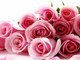 Flora-Glynn Florist