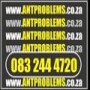 Ant Problems