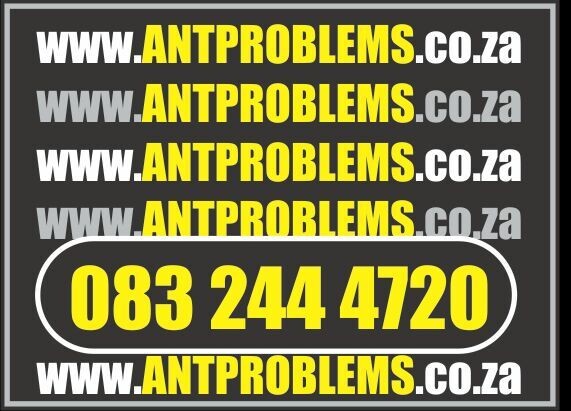 Ant Problems