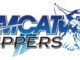 TOMCAT Wood Chippers