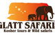 Glatt Safaris