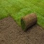 Roll On Lawn Grass
