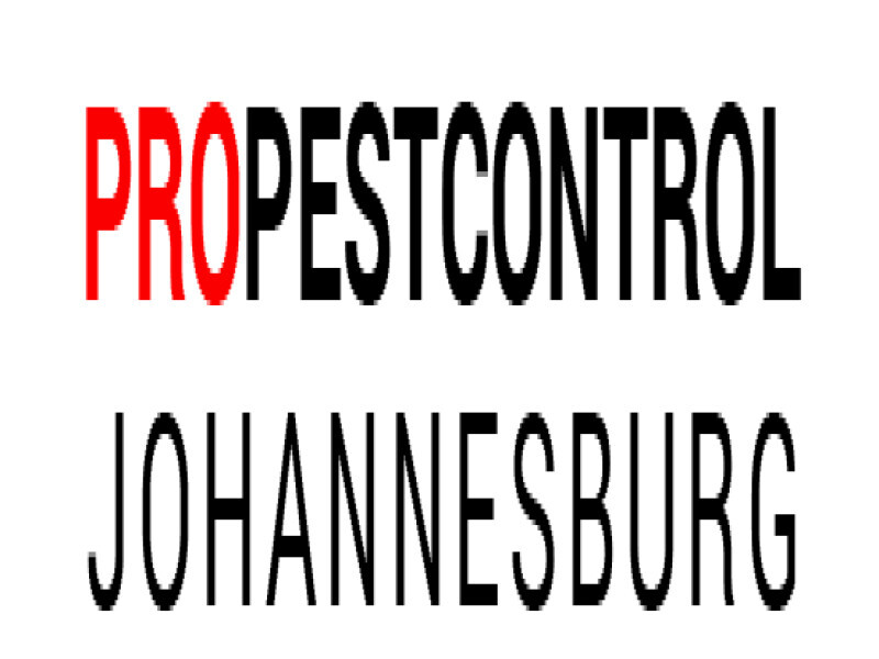 PRO Pest Control Johannesburg