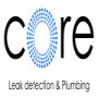 Bellville Leak Detection